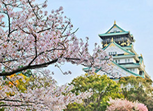 C7入口-10场9球！“饼王”伊卡尔迪闪耀巴黎 国际米兰酸吗？